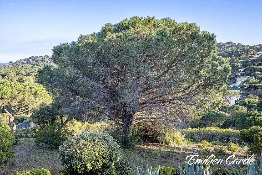 Land in Ville-Les Saquedes-Le Bouillonnet, Sainte-Maxime, France 3 - 16822997