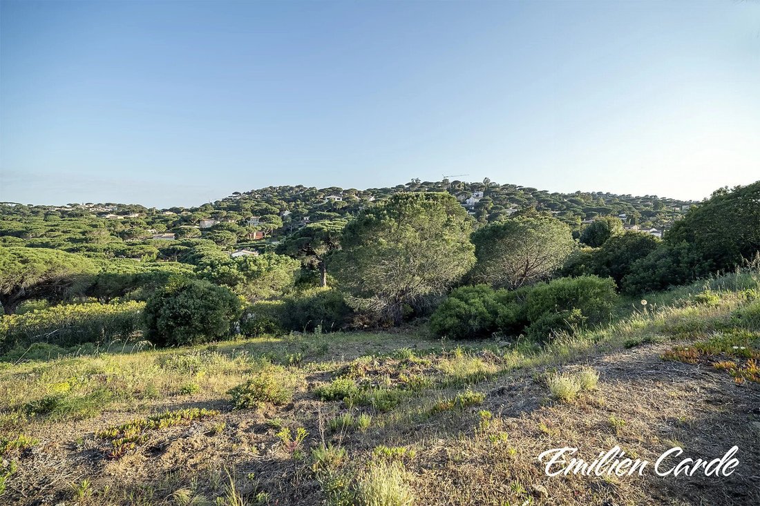 Land in Ville-Les Saquedes-Le Bouillonnet, Sainte-Maxime, France 3 - 16822996
