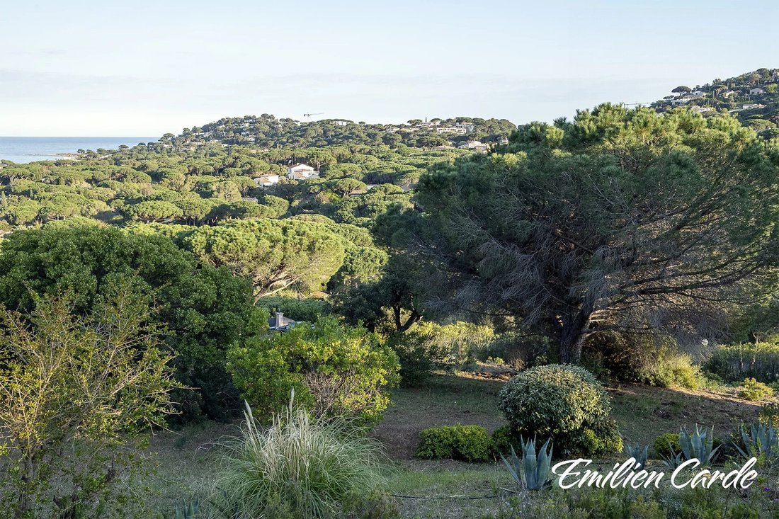 Land in Ville-Les Saquedes-Le Bouillonnet, Sainte-Maxime, France 5 - 16822997