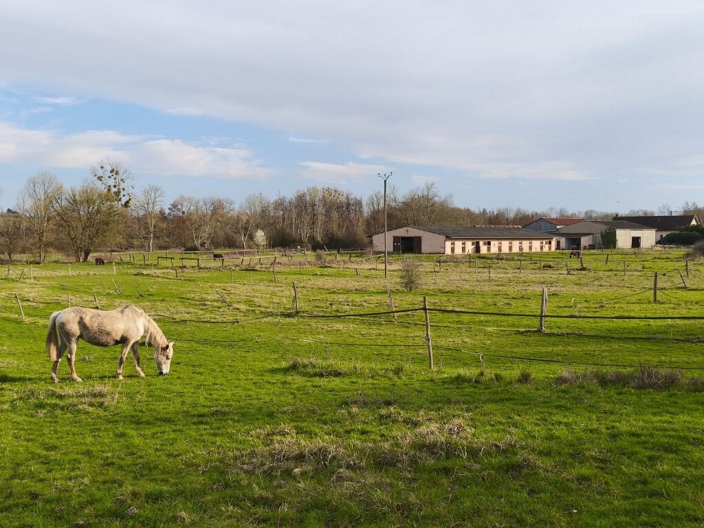 House in Saint-Martin-sur-Ouanne, Charny Orée de Puisaye, France 5 - 17841144