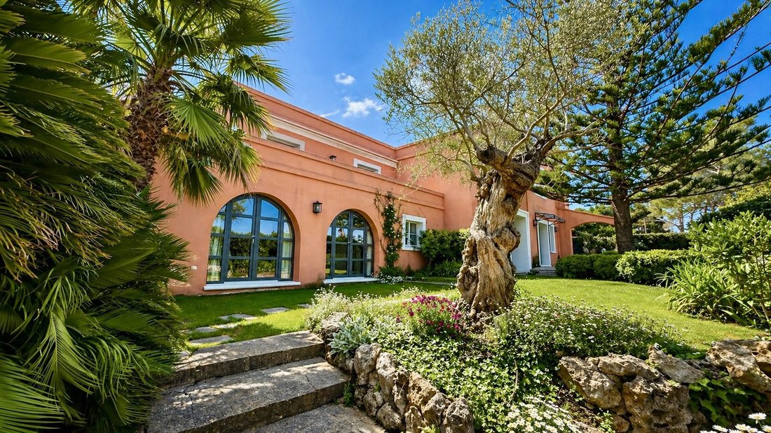 House in Cannes, Provence-Alpes-Côte d'Azur, France 1 - 17776424