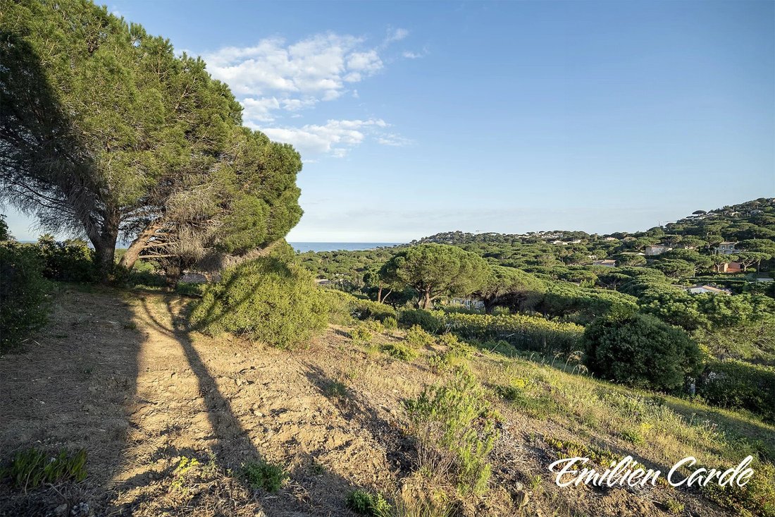 Land in Ville-Les Saquedes-Le Bouillonnet, Sainte-Maxime, France 4 - 16822996