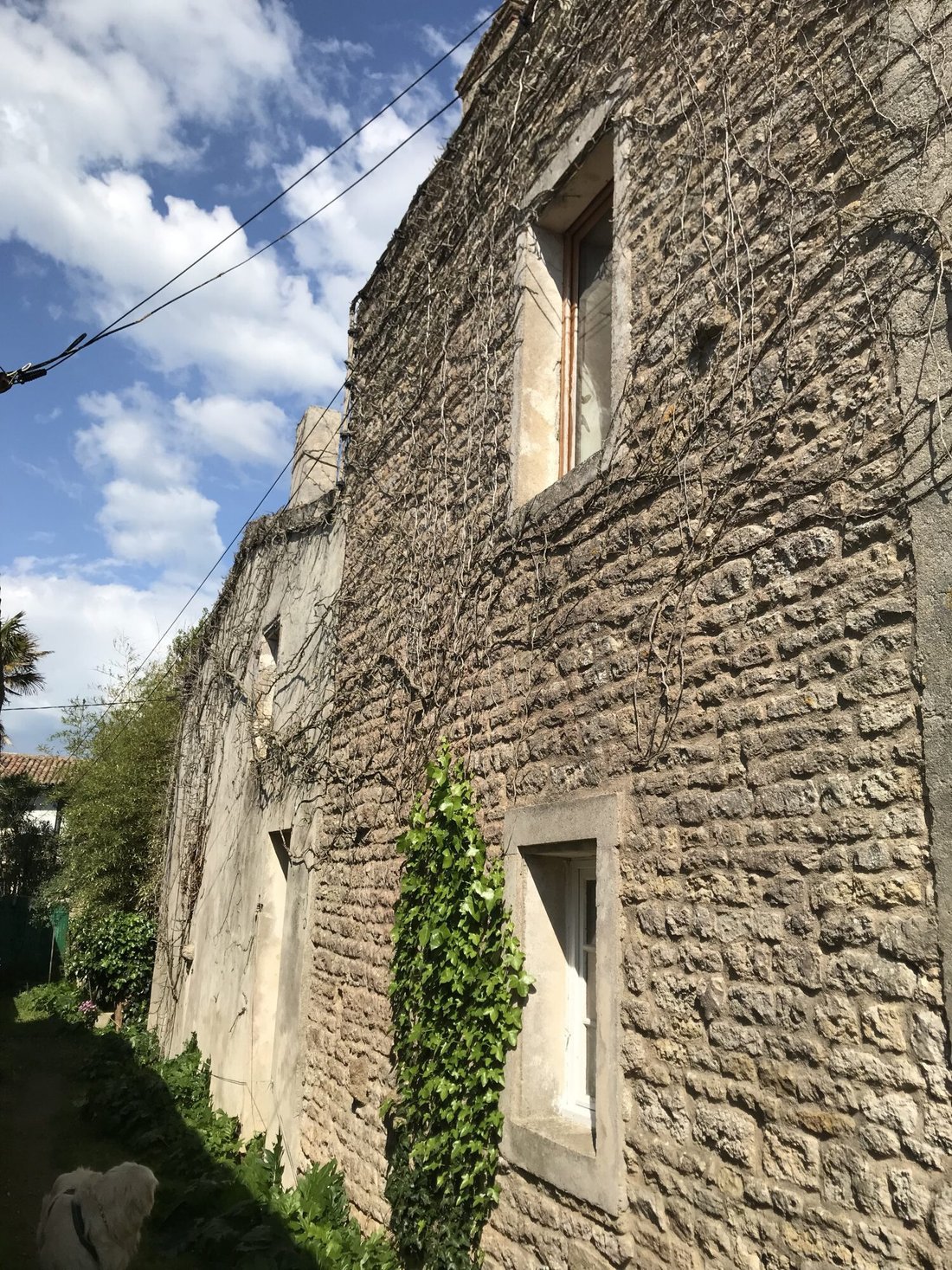 House in Saint-Clement-des-Baleines, Nouvelle-Aquitaine, France 4 - 17982962