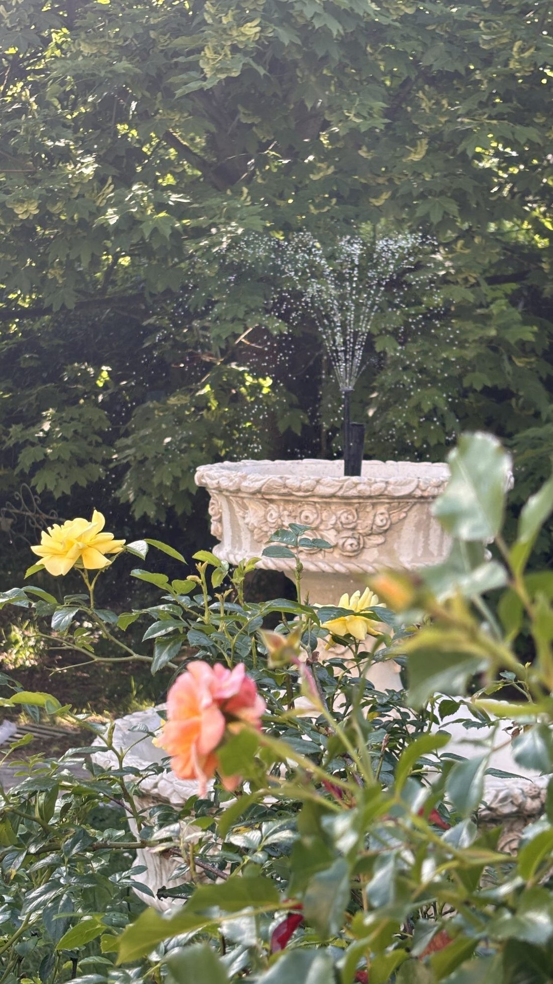 Villa in Montevrain, Ile-de-France, France 3 - 18481012