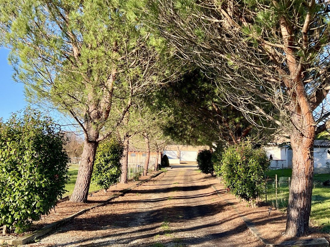 House in Plaisance, Nouvelle-Aquitaine, France 4 - 16994456