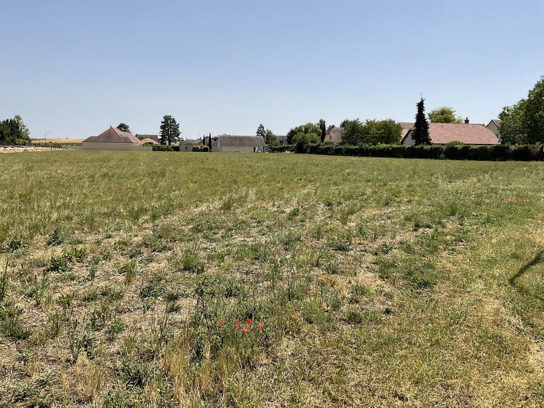 Land in Torvilliers, Grand Est, France 5 - 18287954