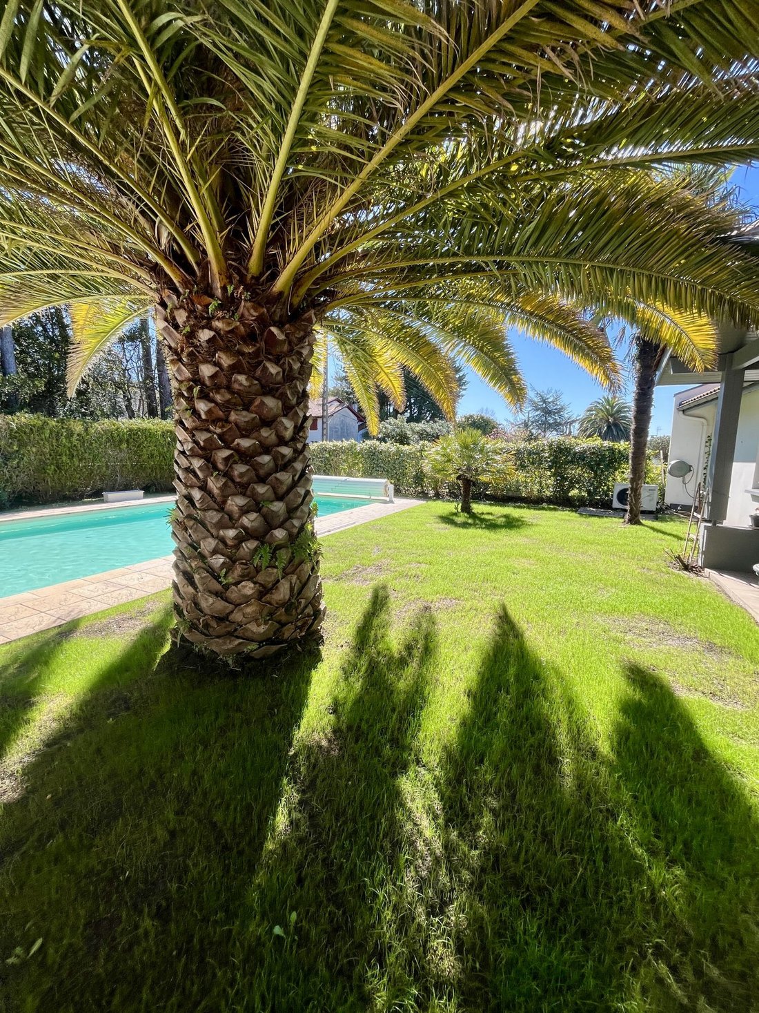 House in Biarritz, Nouvelle-Aquitaine, France 4 - 17468771