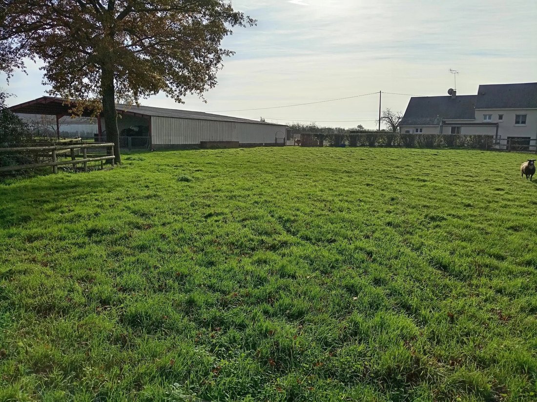 Farm Ranch in Saint-Mars-la-Jaille, Vallons-de-L'Erdre, France 1 - 18206966