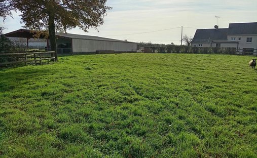 Azienda agricola a Saint-Mars-la-Jaille, Vallons-de-l'Erdre, Francia 1