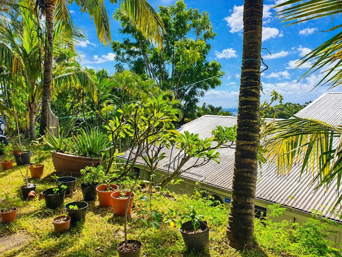 Villa in Saint Denis, Saint-Denis, Réunion 4 - 17776454