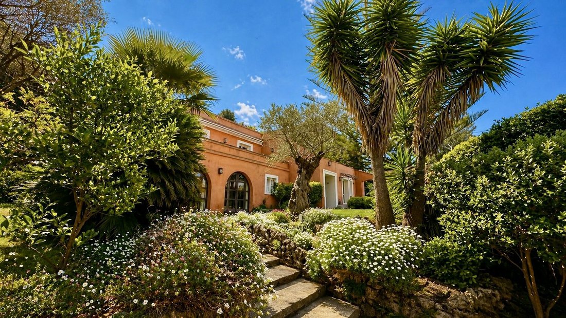 House in Cannes, Provence-Alpes-Côte d'Azur, France 3 - 17776424