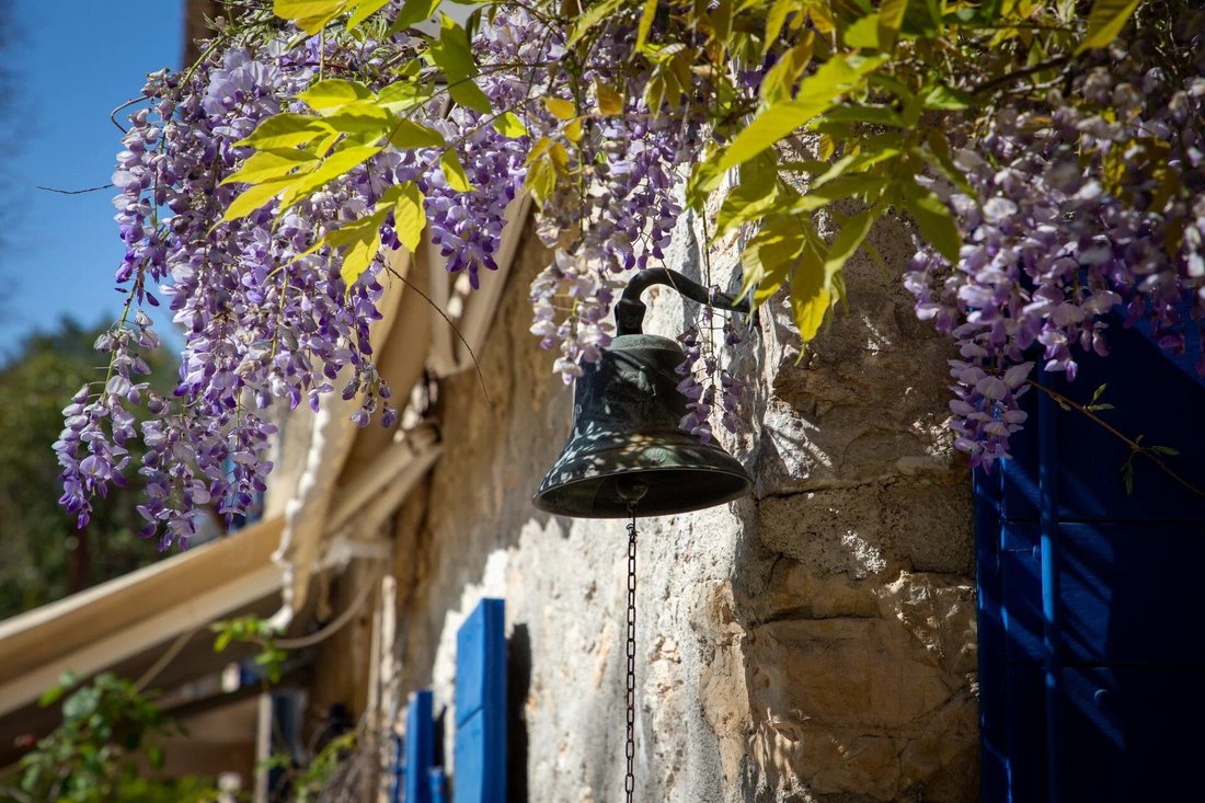 Country House in Centre Ancien, Draguignan, France 5 - 16888263
