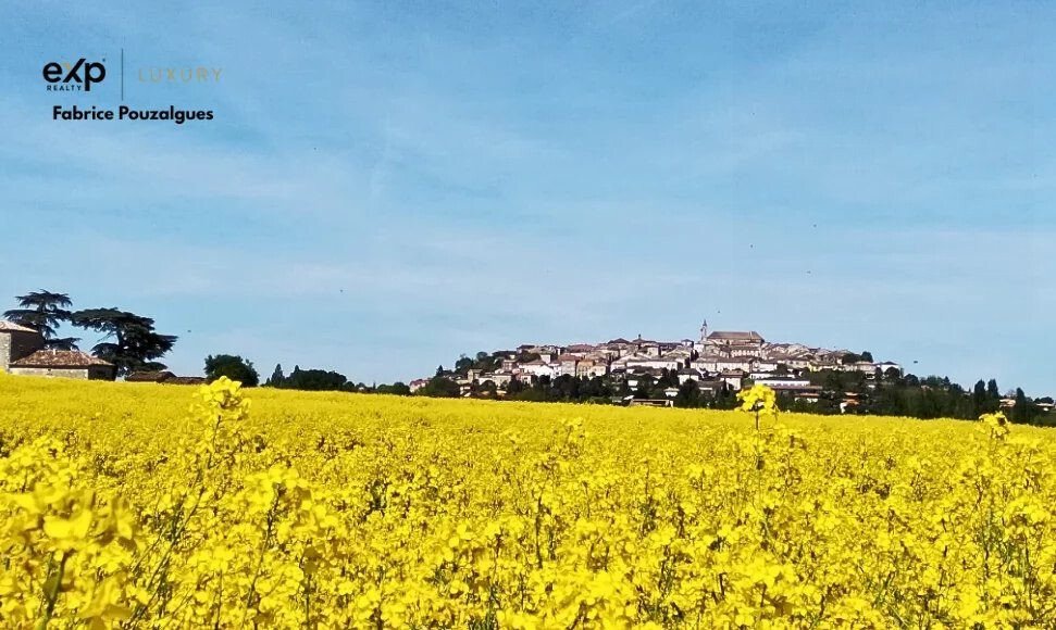 House in Monflanquin, Nouvelle-Aquitaine, France 4 - 16822760