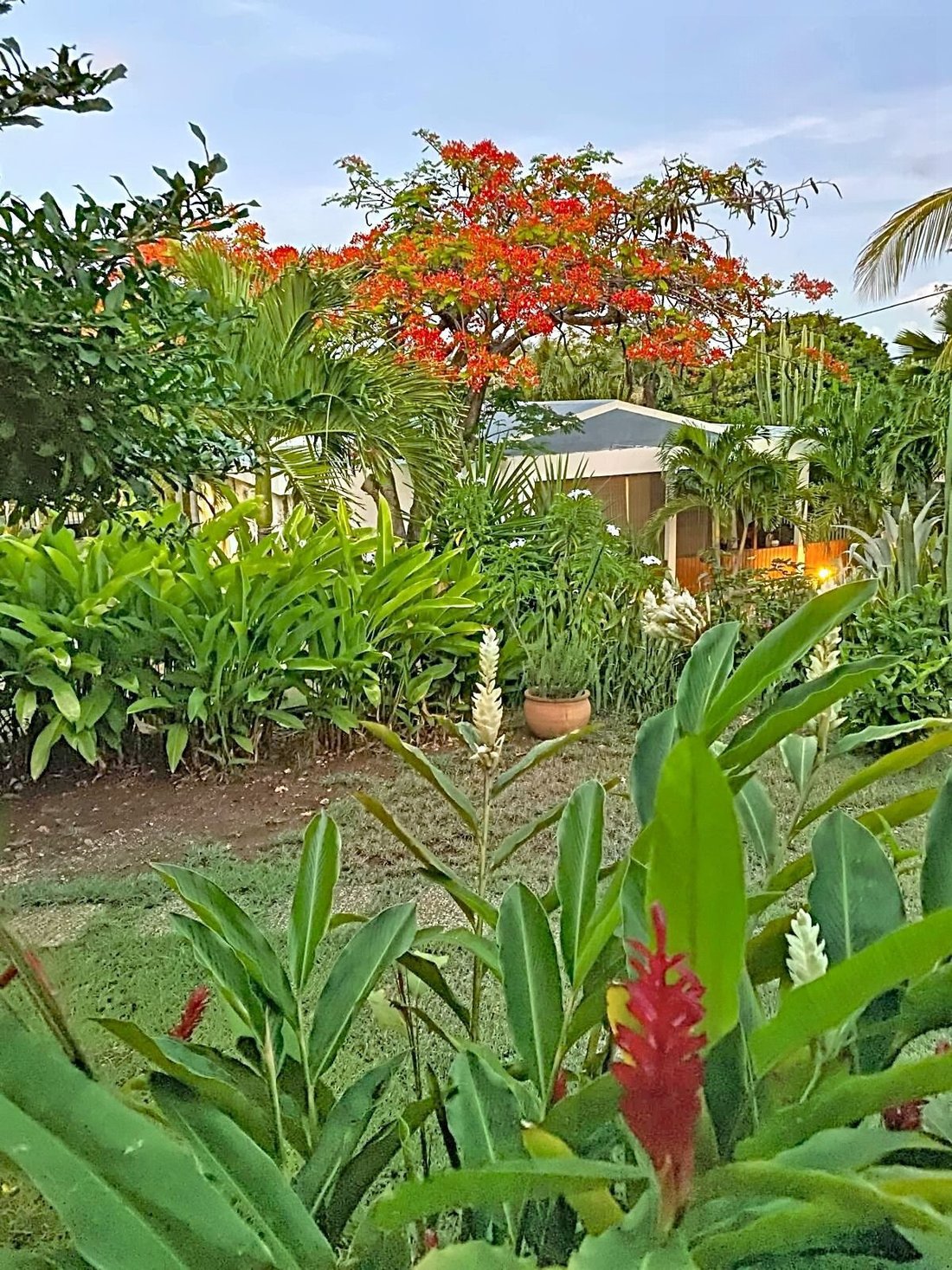 House in Sainte-Anne, Grande-Terre, Guadeloupe 2 - 17413251
