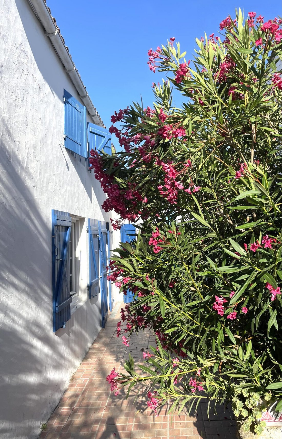 House in Loix, Nouvelle-Aquitaine, France 2 - 18323817