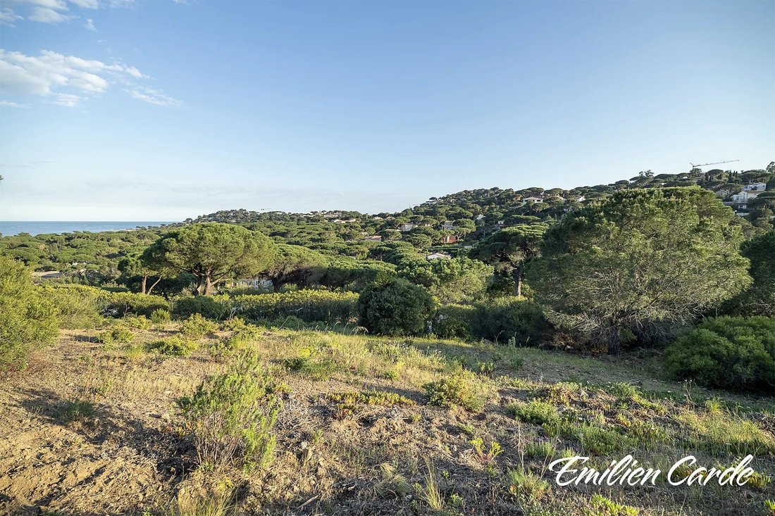 Land in Ville-Les Saquedes-Le Bouillonnet, Sainte-Maxime, France 2 - 16822996
