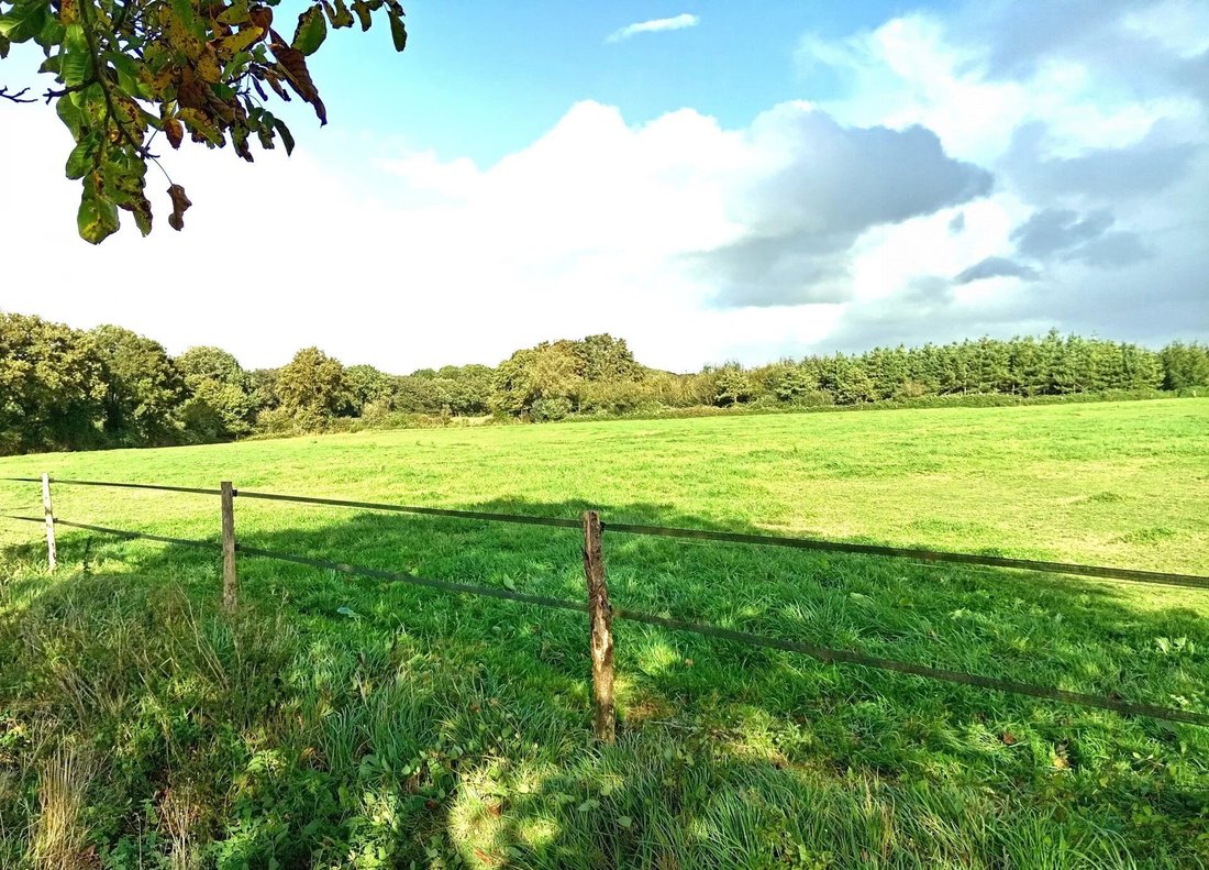 Farm Ranch in Saint-Mars-la-Jaille, Vallons-de-L'Erdre, France 5 - 18206966