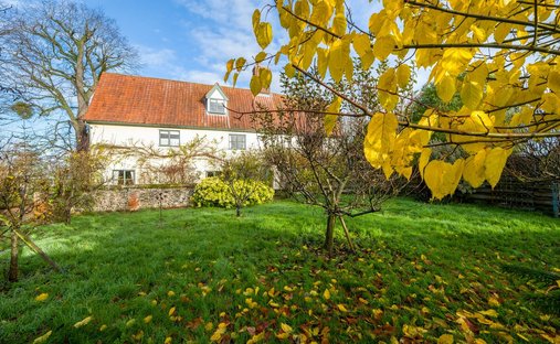 Farm Ranch in Gislingham, England 1