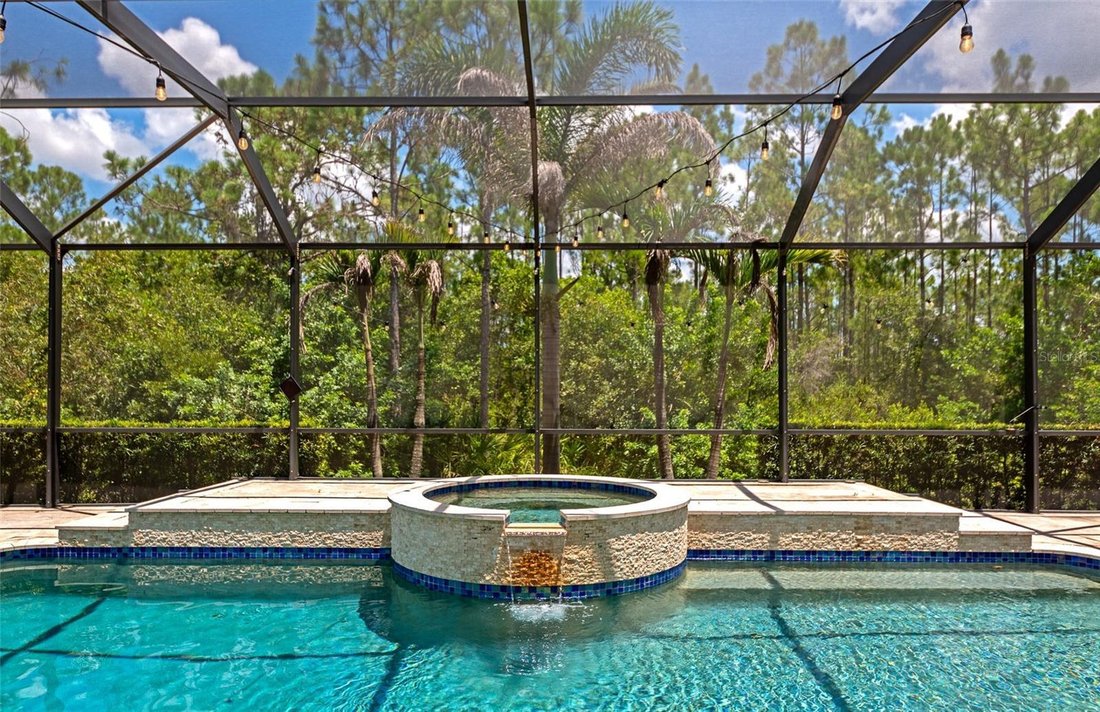 House in Bradenton, Florida, United States 3 - 18545041