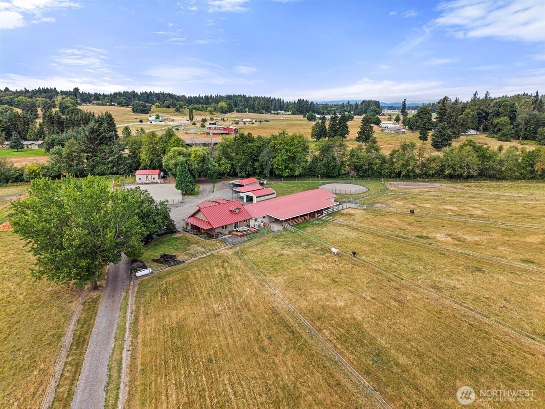 House in Olympia, Washington, United States 4 - 18545402