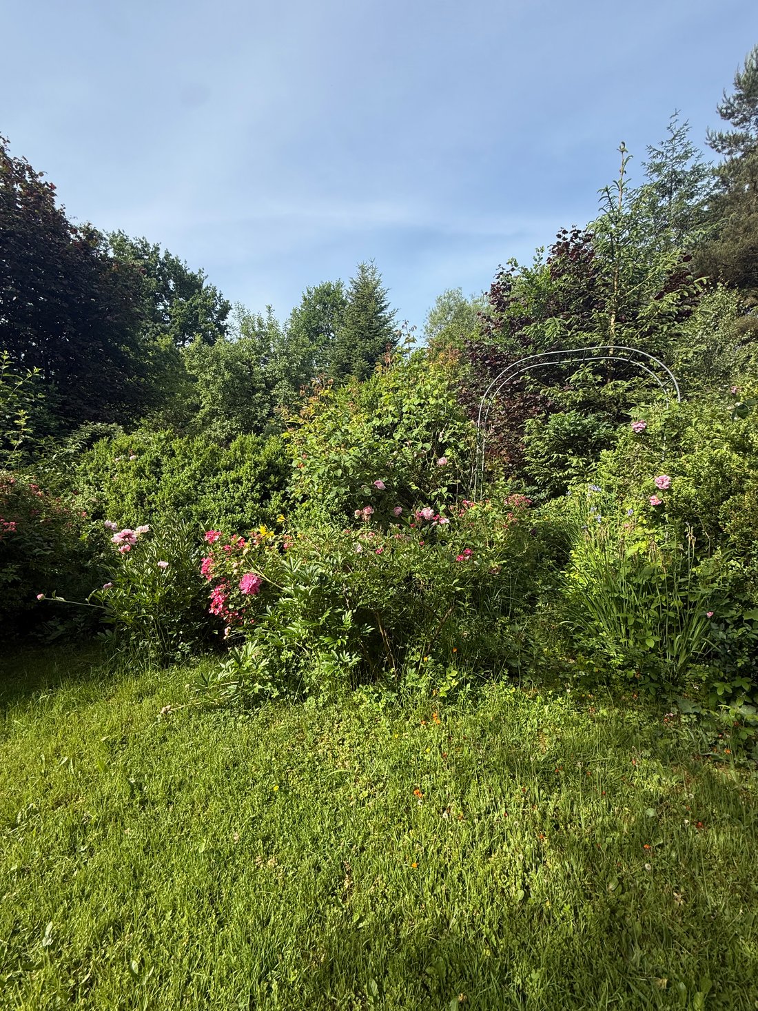 Land in Augsburg, Bavaria, Germany 2 - 18546234