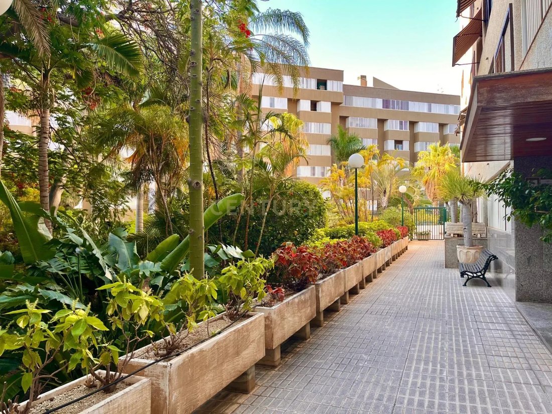 Apartment in Centro-Ifara, Santa Cruz De Tenerife, Spain 4 - 18546257