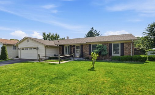 House in Elk Grove Village, Illinois, United States 1