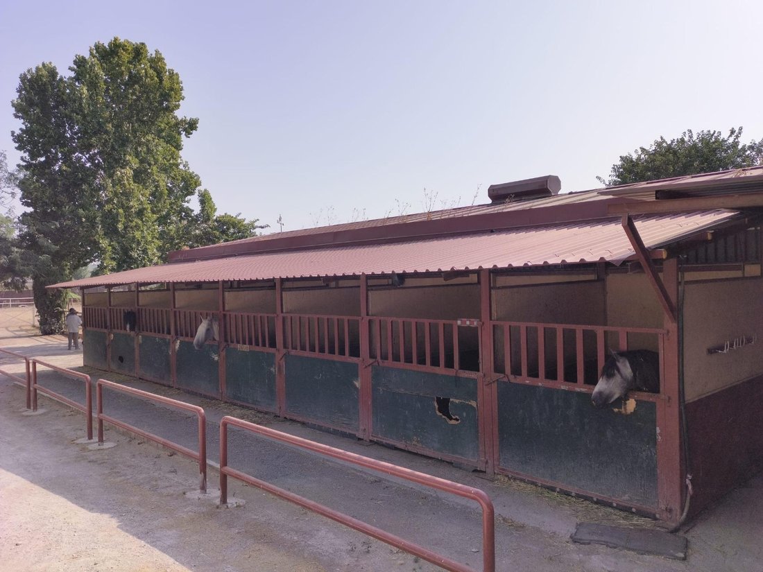 Finca in La Zubia, Andalusia, Spain 4 - 18545941