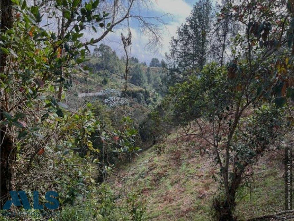 Land in Rionegro, Antioquia, Colombia 4 - 18545904