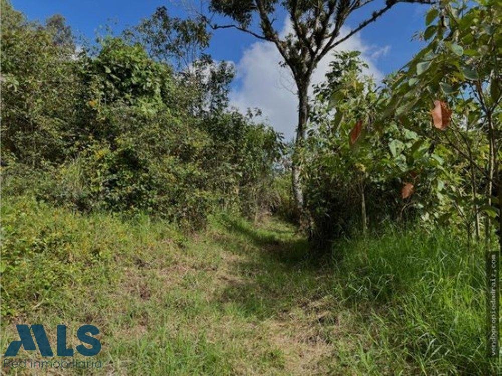 Land in Rionegro, Antioquia, Colombia 3 - 18545904