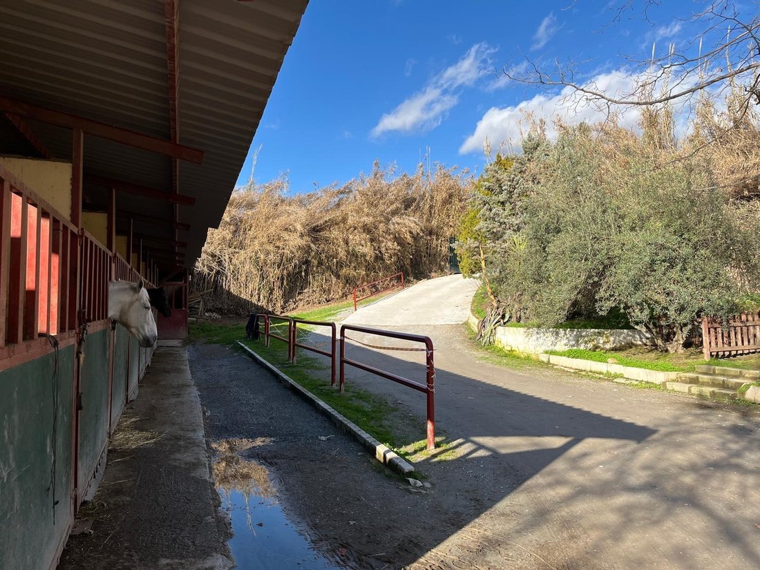 Finca in La Zubia, Andalusia, Spain 2 - 18545941