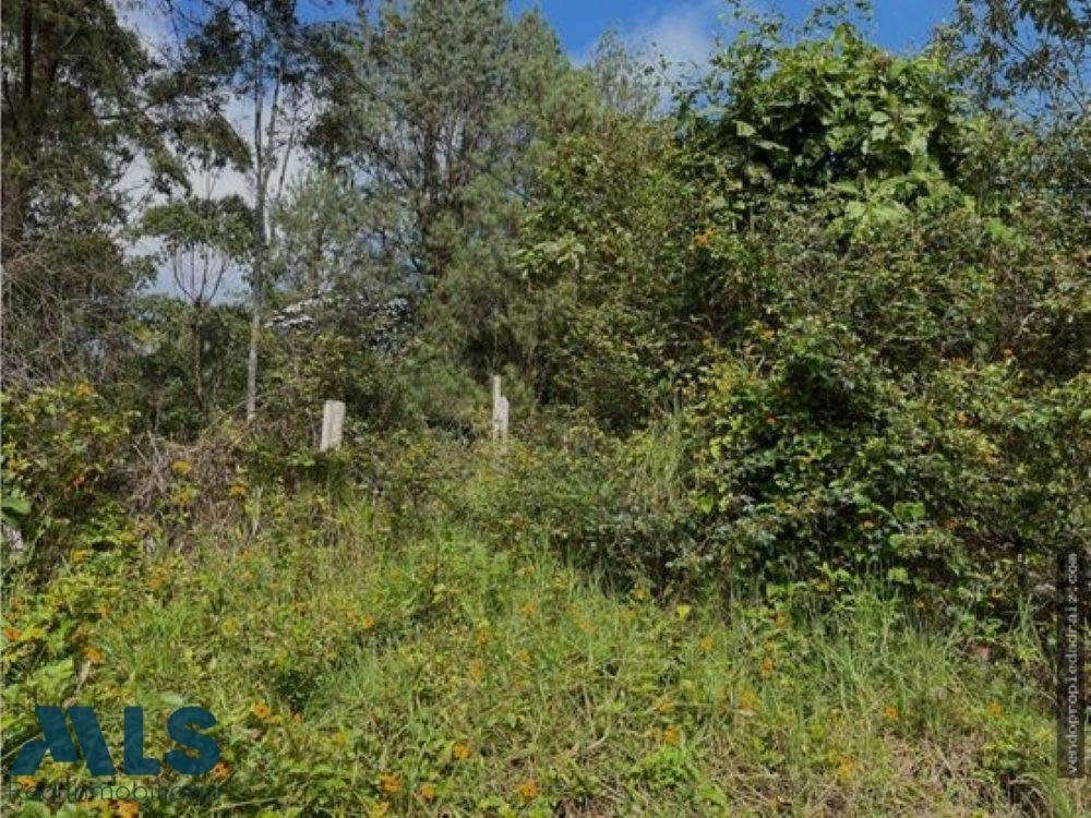 Land in Rionegro, Antioquia, Colombia 5 - 18545904