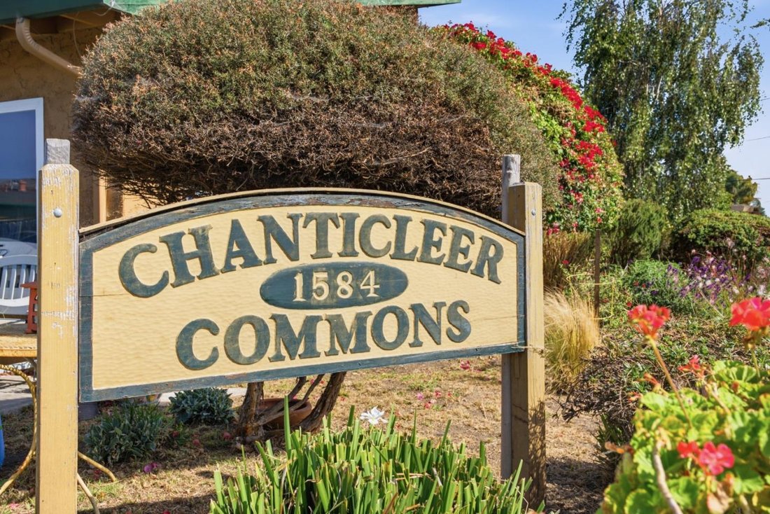 Santa Cruz, California, United States 2 - 18545626