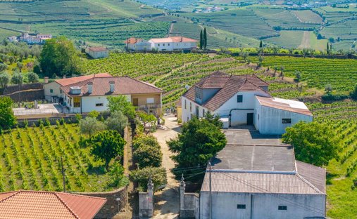 Azienda agricola a Lobrigos (Sao Miguel e Sao Joao Baptista) e Sanhoane, Distretto di Vila Real, Portogallo 1