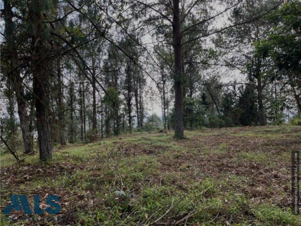 Land in Rionegro, Antioquia, Colombia 1 - 18545904