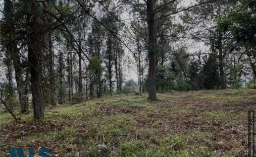 Land in Rionegro, Antioquia, Colombia 1