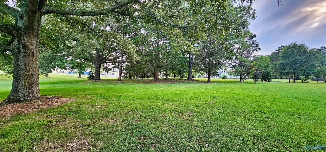 House in Crossville, Alabama, United States 3 - 18545534