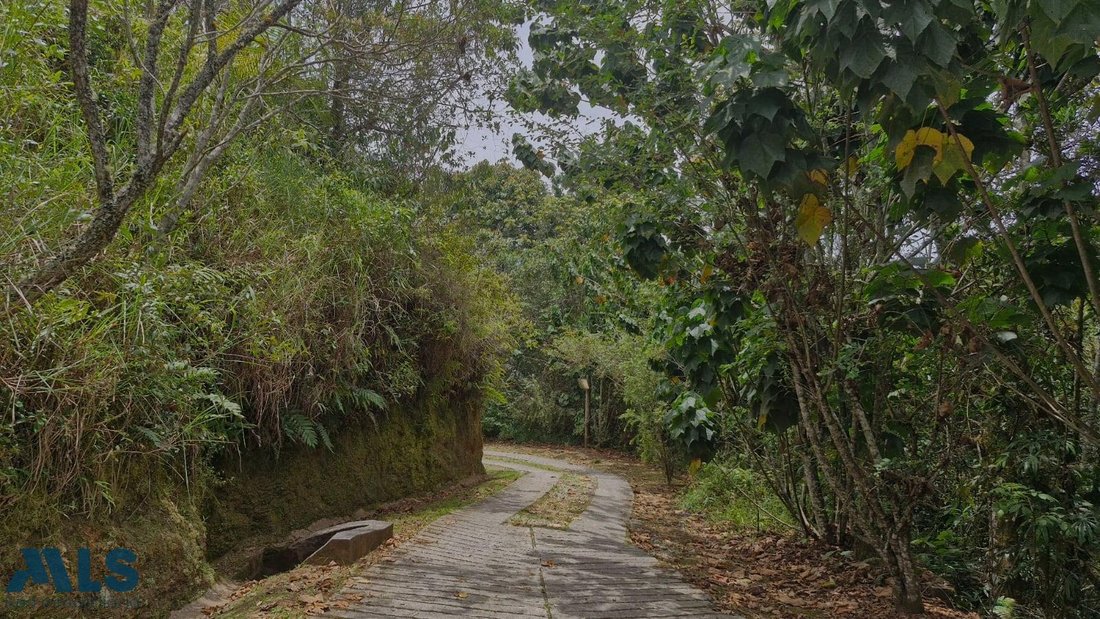 Land in Don Diego, Antioquia, Colombia 5 - 18545983
