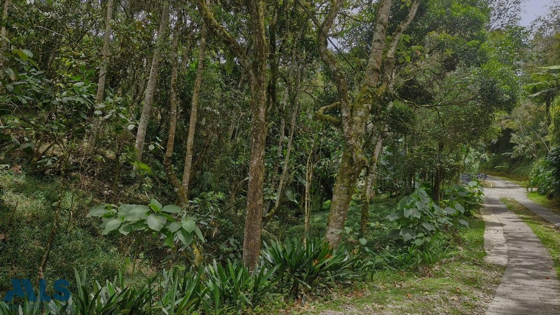 Land in Don Diego, Antioquia, Colombia 1 - 18545983