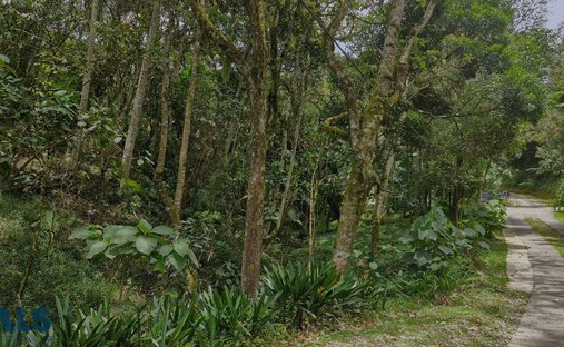 Land in Don Diego, Departamento de Antioquia, Kolumbien 1
