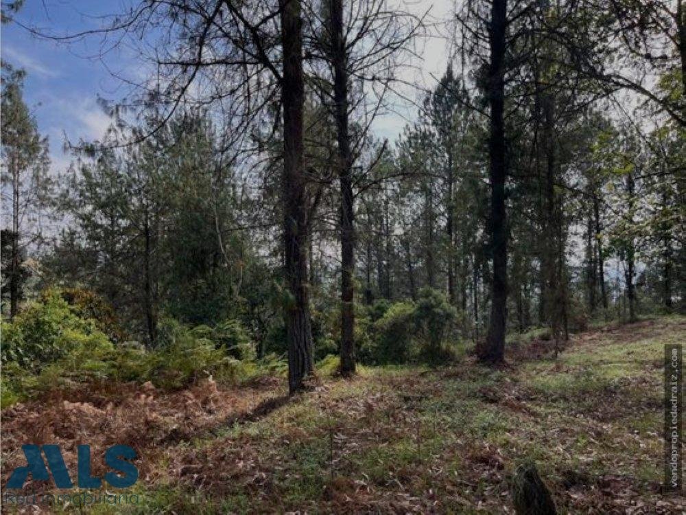 Land in Rionegro, Antioquia, Colombia 2 - 18545904