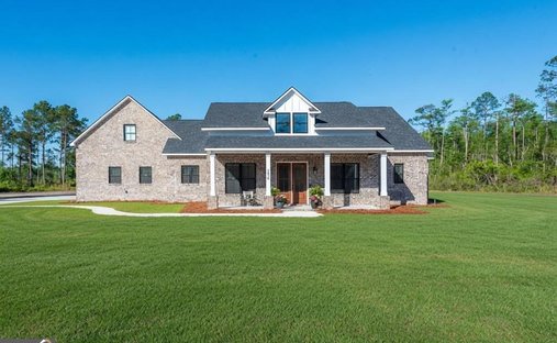 House in Naylor, Georgia, United States 1