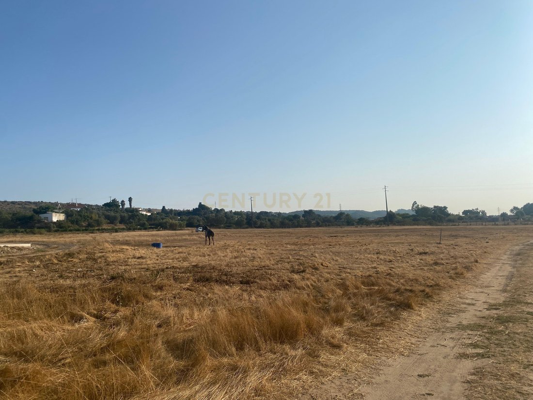 Land in Palmela, Setubal, Portugal 5 - 18546248