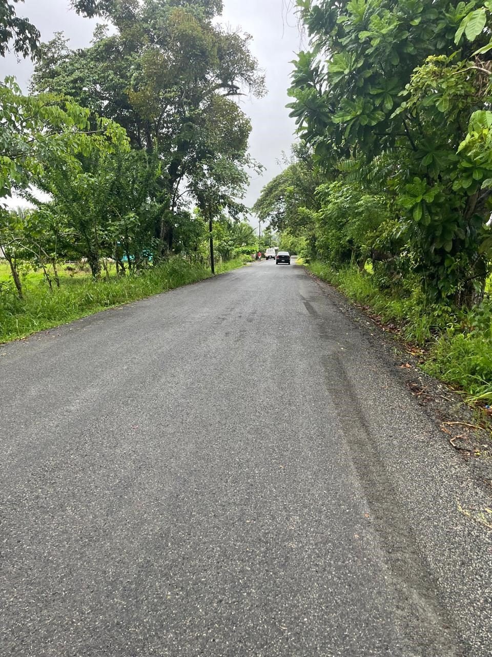 Land in Ciudad Cortés, Puntarenas Province, Costa Rica 5 - 18546810