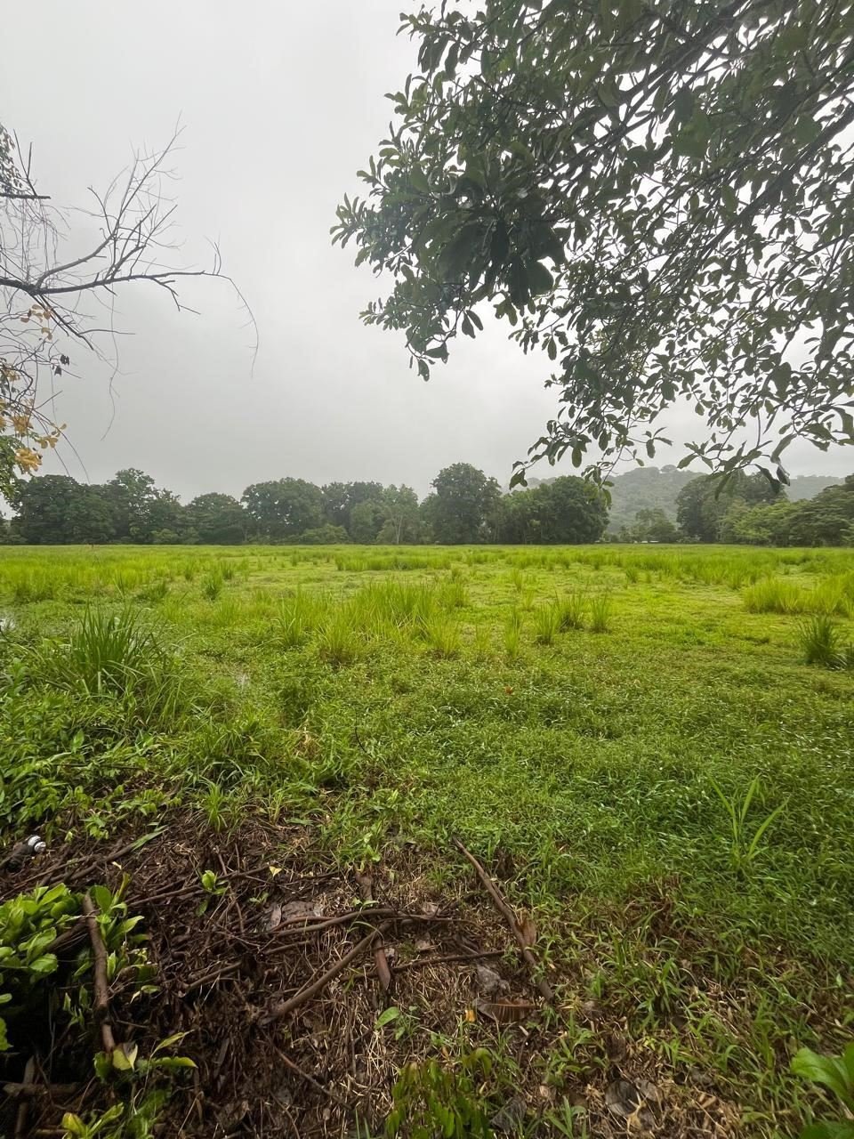 Land in Ciudad Cortés, Puntarenas Province, Costa Rica 2 - 18546810