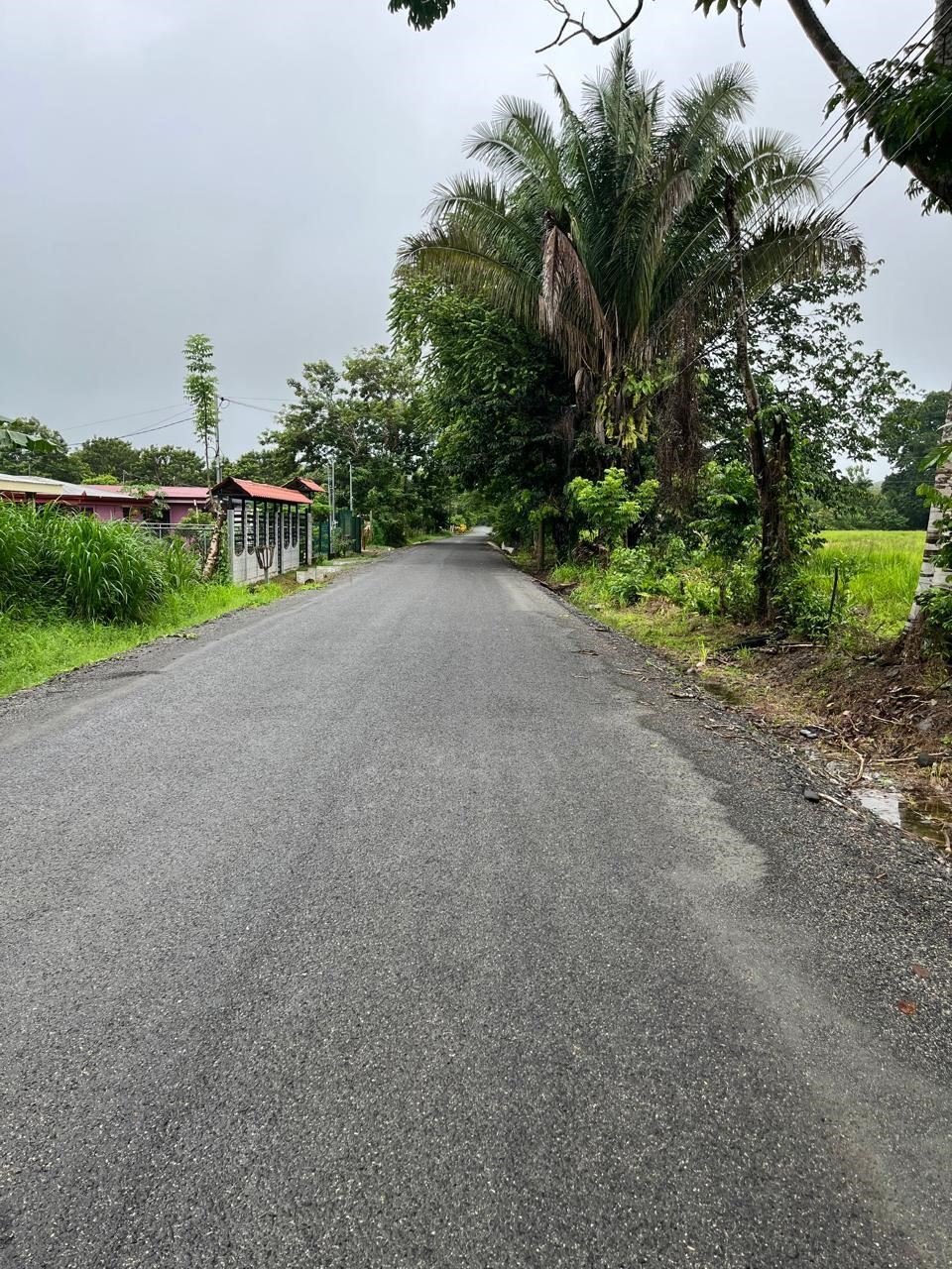 Land in Ciudad Cortés, Puntarenas Province, Costa Rica 4 - 18546810
