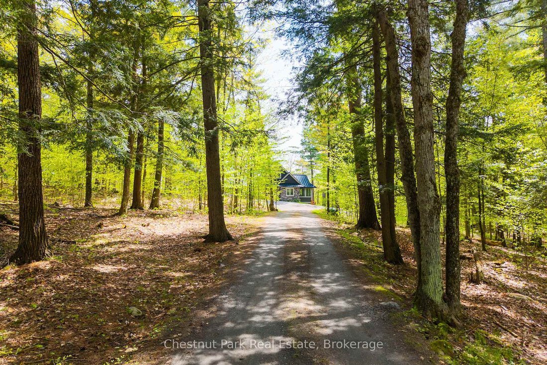 House in Muskoka Lakes, Ontario, Canada 1 - 18546652