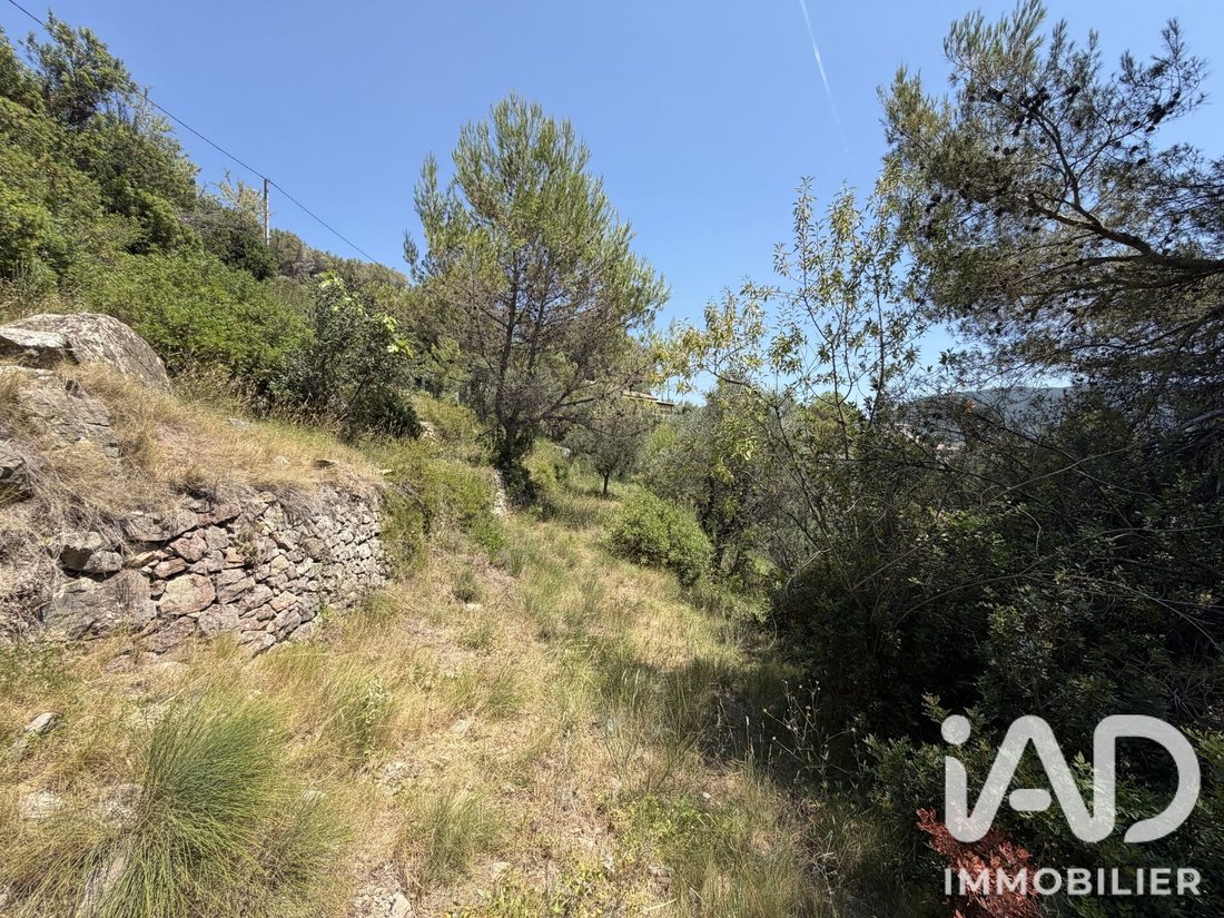 Land in Drap, Provence-Alpes-Côte d'Azur, France 4 - 18549801