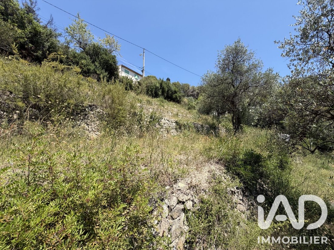Land in Drap, Provence-Alpes-Côte d'Azur, France 5 - 18549801