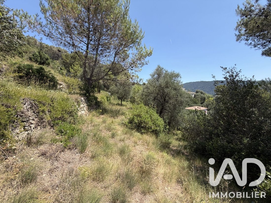Land in Drap, Provence-Alpes-Côte d'Azur, France 3 - 18549801